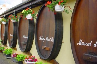 Вина Alsace (Эльзаса) — французско-германское наследие
