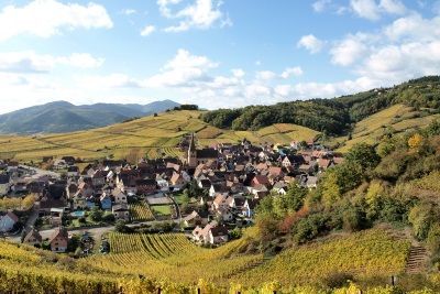 Вина Alsace (Эльзаса) — французско-германское наследие