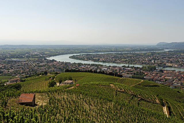 Вина Alsace (Эльзаса) — французско-германское наследие