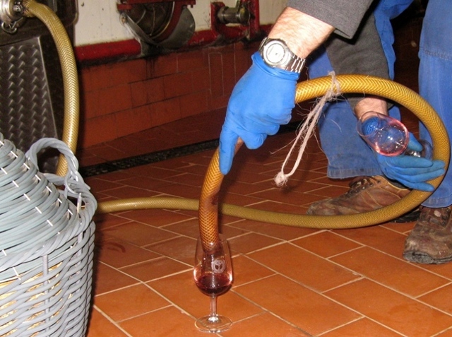 Вино Brunello di Montalcino (Брунелло ди Монтальчино): особенности и культура пития