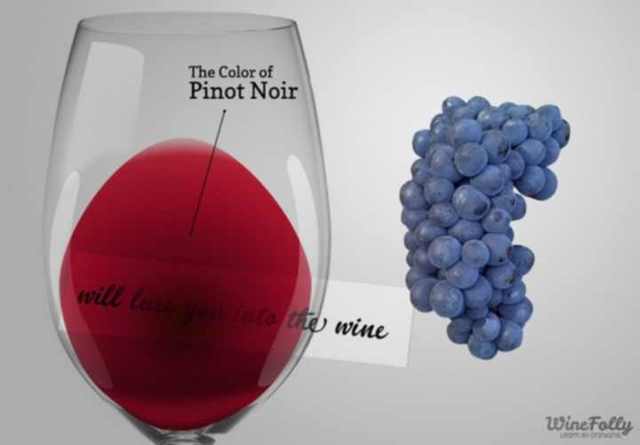 Вино Pinot Noir (Пино Нуар) – напиток с выдающимися дегустационными показателями