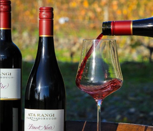 Вино Pinot Noir (Пино Нуар) – напиток с выдающимися дегустационными показателями