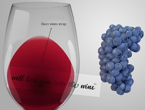 Вино Pinot Noir (Пино Нуар) – напиток с выдающимися дегустационными показателями