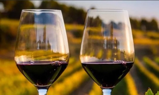 Вино Pinot Noir (Пино Нуар) – напиток с выдающимися дегустационными показателями