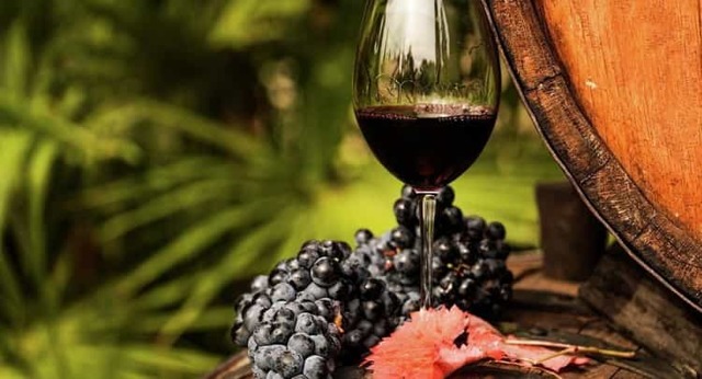 Вино Pinot Noir (Пино Нуар) – напиток с выдающимися дегустационными показателями