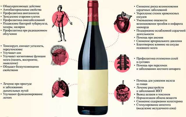 Вино повышает или понижает давление: влияние напитка на сердце в разном возрасте