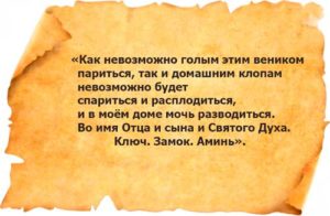 Заговоры и молитвы от клопов в квартире