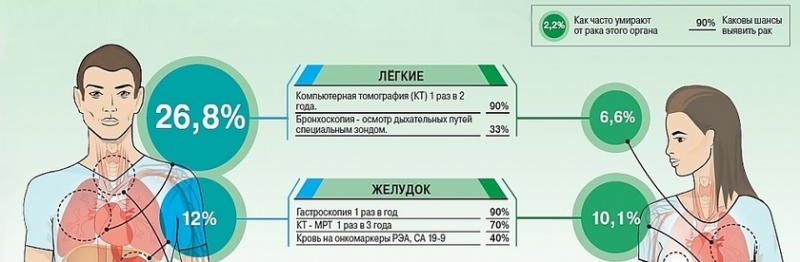 Зеленая кровь – интересные факты