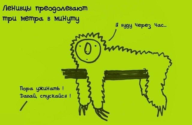 Зеленая кровь – интересные факты